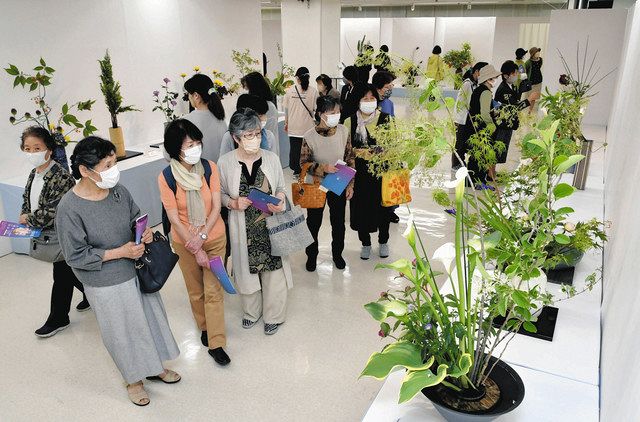 石川 伸びやか 初夏の生命力 四季の花協会展が開幕 北陸中日新聞web