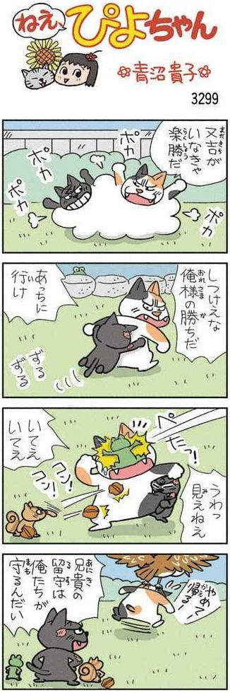 ねえ、ぴよちゃん：中日新聞Web
