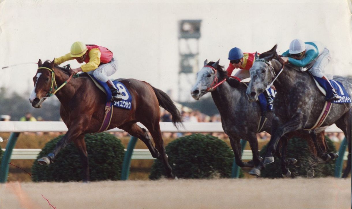 ◇熊沢ダイユウサクと武豊メジロマックイーンの有馬記念【写真】：中日スポーツ・東京中日スポーツ