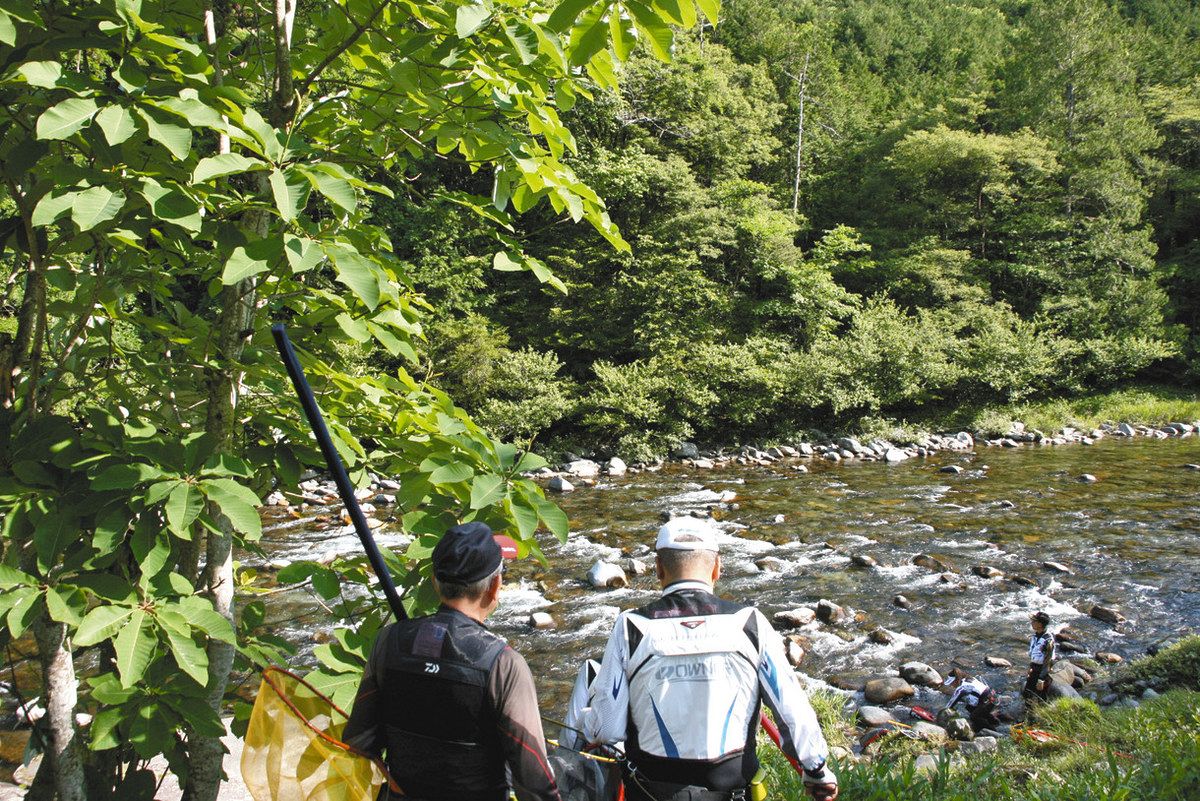朴葉も川も夏の日差しを浴びて輝く

