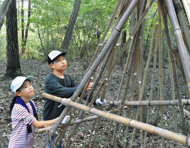 児童が森の中で秘密基地作り 伊賀・県上野森林公園：中日新聞Web