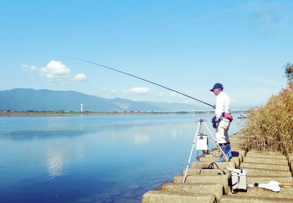 立田大橋開通記念 立田大橋の釣果・釣り場情報【2025年最新】 - アングラーズ