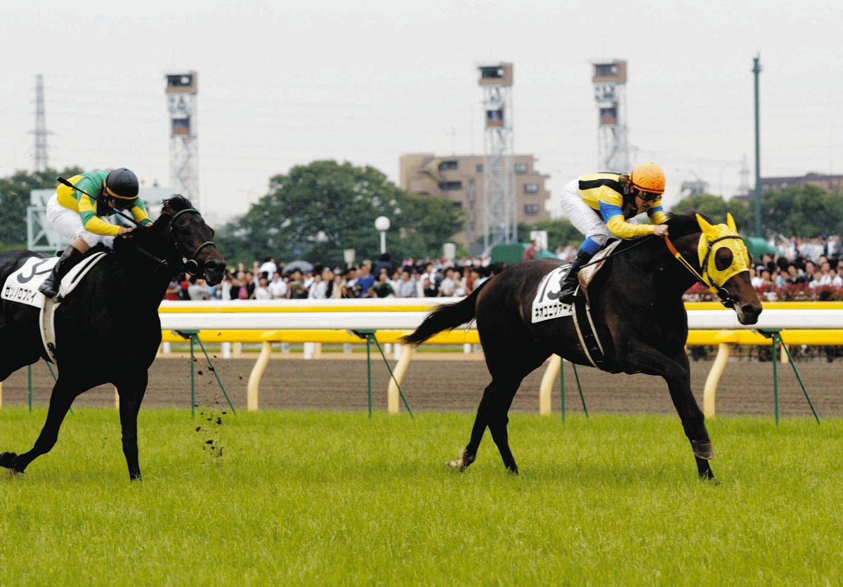 ドゥラメンテu0026デムーロ騎手  五点セット ドゥラメンテ DURAMENTE ミルコ・デムーロ サインカード ドゥラメンテ