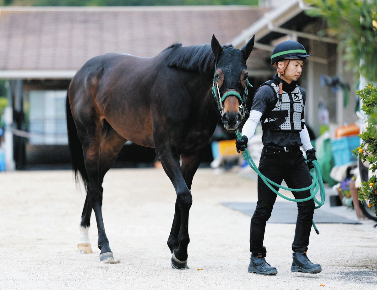 天皇賞春・枠順決定】タガノデュードは6枠11番 増井助手「後ろからの馬