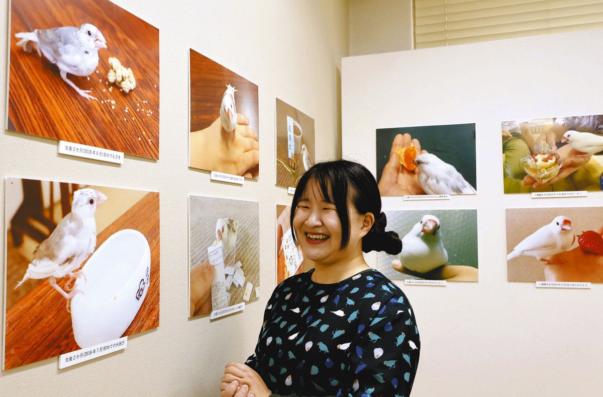弥富市歴史民俗資料館・館鳥「ぶんちゃん」がふれあい業務引退 「人生