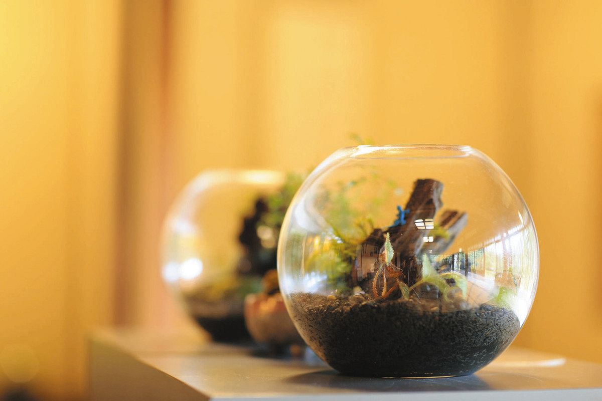 しが旅のススメ＞慶雲館で魅せる苔の世界展（長浜市） テラリウム