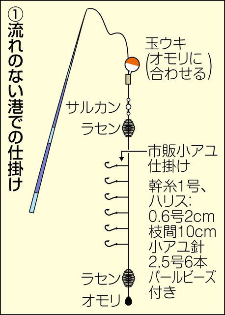 夏まで楽しめる小アユ（上） 琵琶湖釣り方ガイド：中日スポーツ・東京