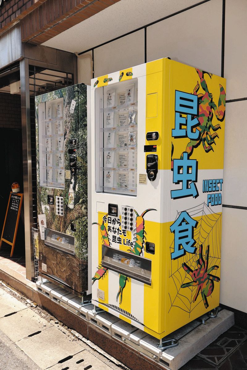 大垣市に「昆虫食」自販機が登場！ バッタやタガメ…高タンパクな18種類