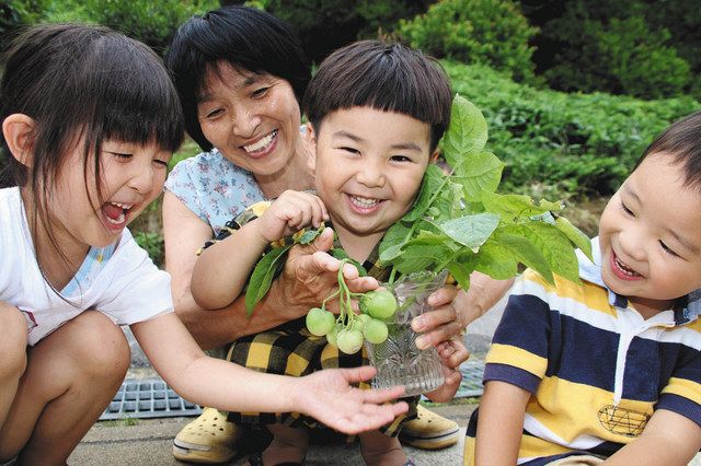 孫とミニトマトそっくりの実を見て喜ぶ後藤百代さん（左から２人目）＝金沢市内で 