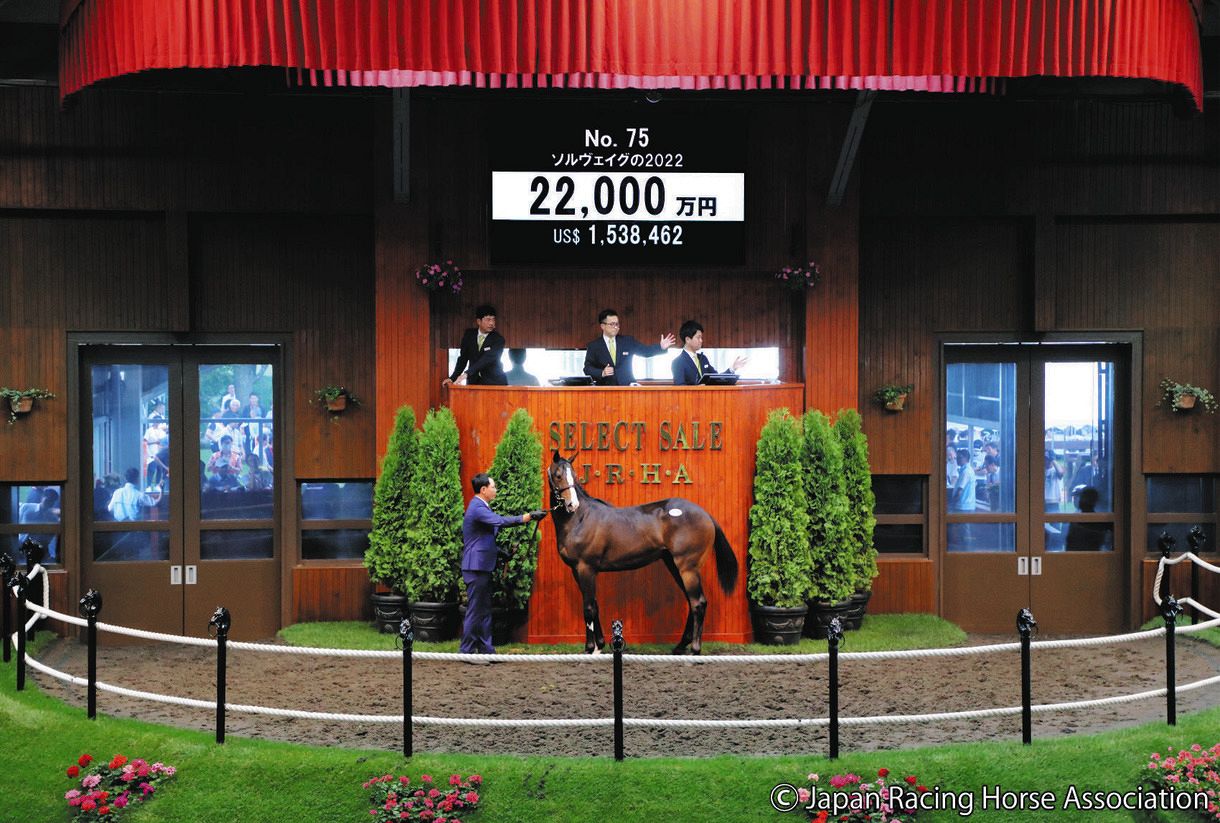 『SS再来』ブリックスアンドモルタル産駒は2頭が2億円超【セレクトセール】:中日スポーツ・東京中日スポーツ