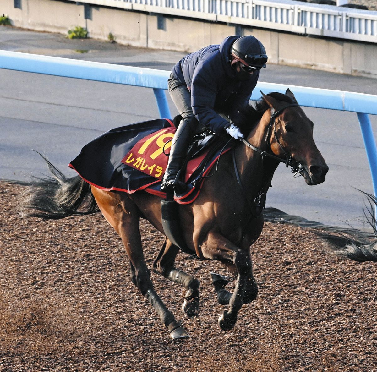 エリザベス女王杯展望】前走で反撃の口火を切ったレガレイラが昨年の