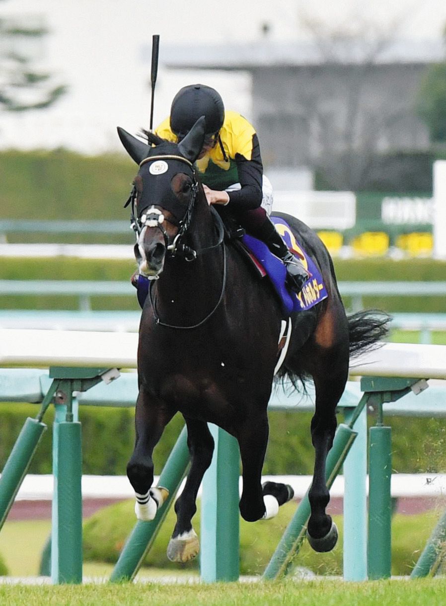 G1』3勝を誇るタイトルホルダーを所有する山田弘オーナーの熱い“競馬愛