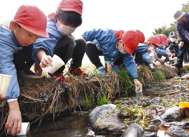 ホタルの幼虫を児童らが放流 高森・天伯峡：中日新聞Web