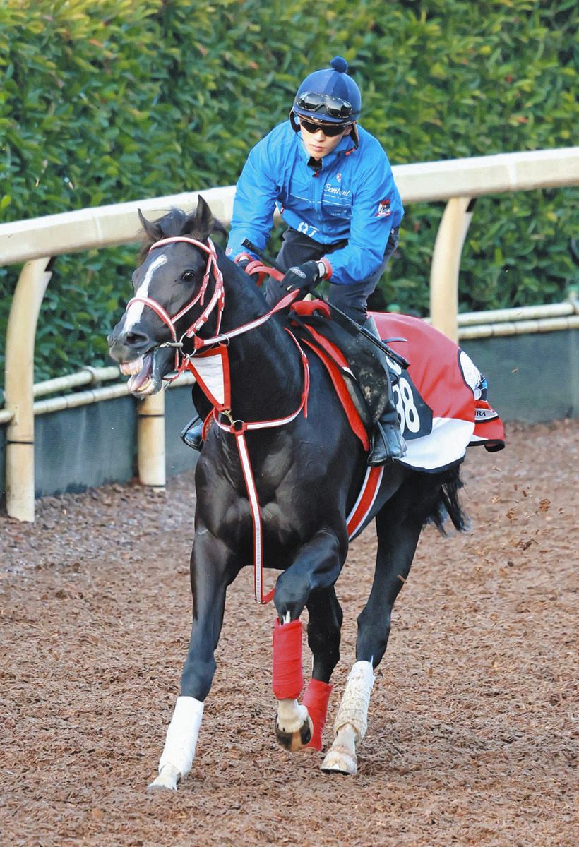 熊沢重文さんの二刀流予想】人気通り3強の構図…中山の大障害コースで