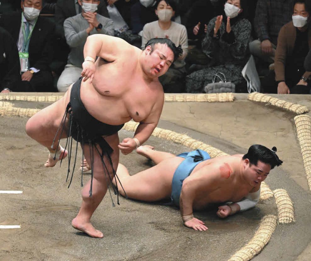 コラ貴