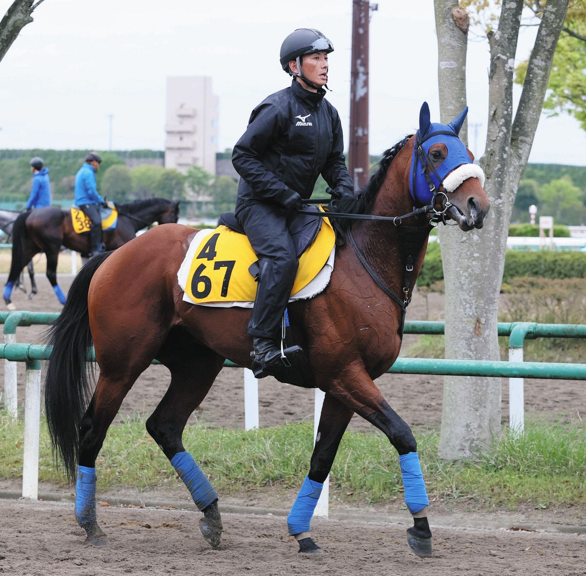 松岡 勝利