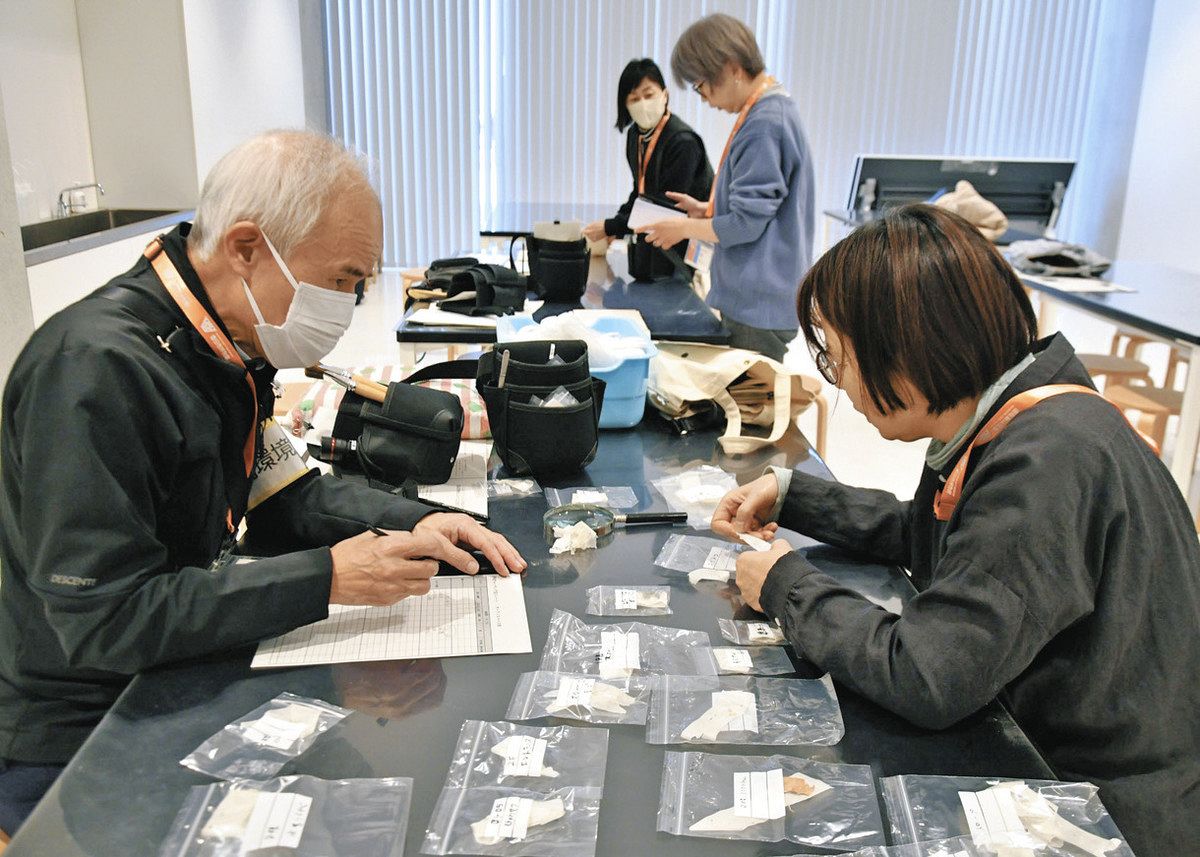 燻蒸に頼らない害虫対策「IPM」に注目 持続可能な文化財保護、支えるの