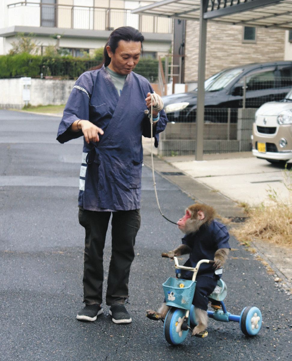 瀬戸に猿（えん）あり、猿（えん）熟の猿まわし 河辺さんと「十兵衛