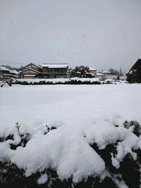 初雪 剣山山頂がうっすらと雪化粧 今シーズンの初雪を観測｜気象・防災