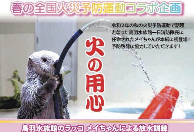 「メイ」がいっぱい 鳥羽水族館の人気ラッコ、３月配布の市消防広報紙に - 中日新聞