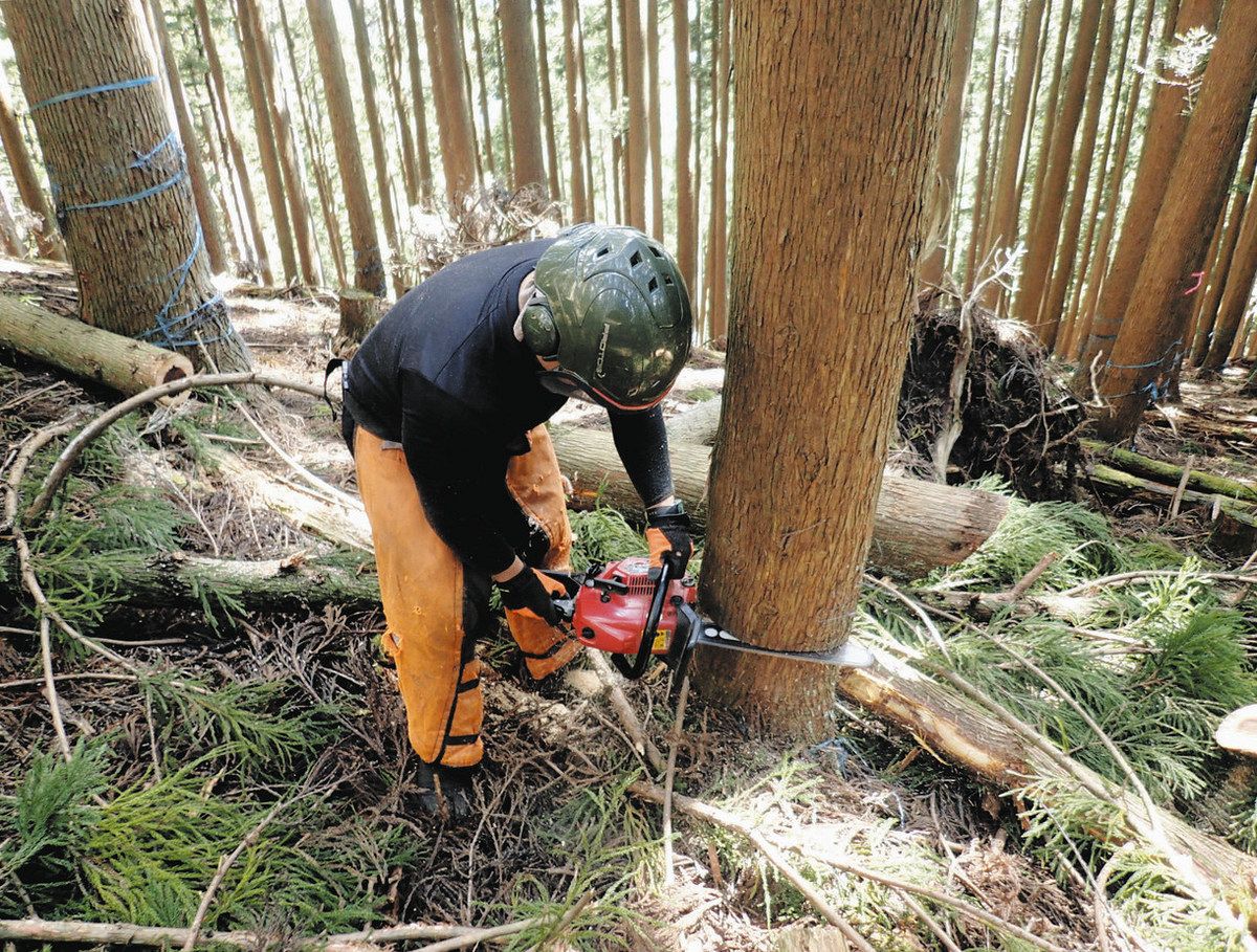 伐採雑木の多面的活用 中部森林開発研究会