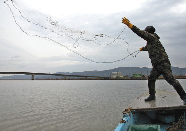 漁網に付ける浮きスケソ丸アバ （湖面に投網の花 邑知潟で寒ブナ漁 