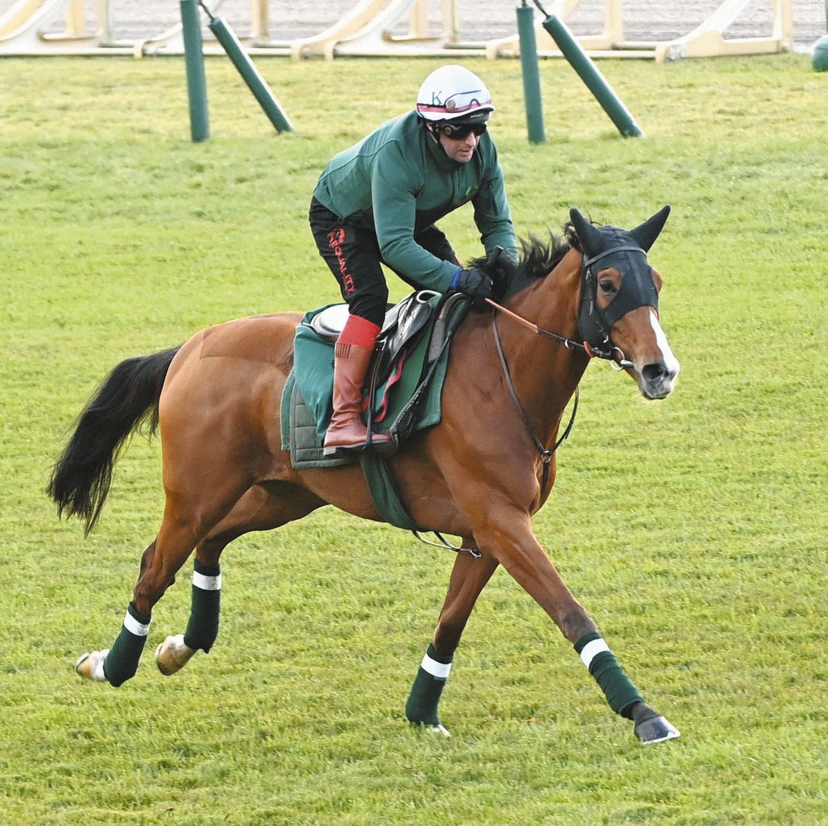 獣医師記者コラム・競馬は科学だ】欧州年度代表馬カランダガンの