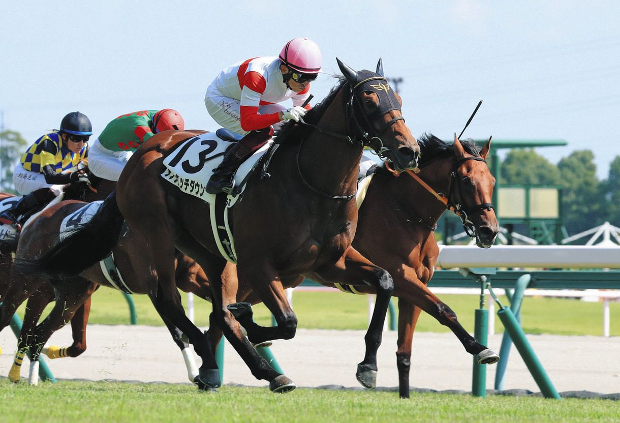 中京新馬5r ダノンタッチダウンが人気に応え直線伸びて勝利 兄は年ホープフルs勝ち馬ダノンザキッド 中日スポーツ 東京中日スポーツ