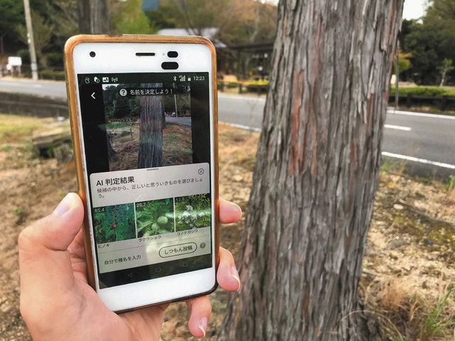 鈴鹿川周辺の動植物を探そう アプリ バイオーム でイベント 中日新聞web