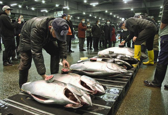 いい魚が買えた 岐阜市中央卸売市場で初競り 中日新聞web