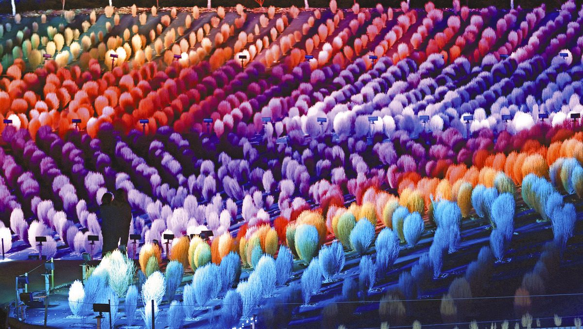 油絵 絵画 【コキアの森】 il_340x270.6717874073_ma6u.jpg