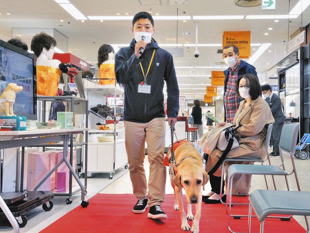 盲導犬への理解深めて 西武福井店 ウィニーが仕事を実演 中日新聞web