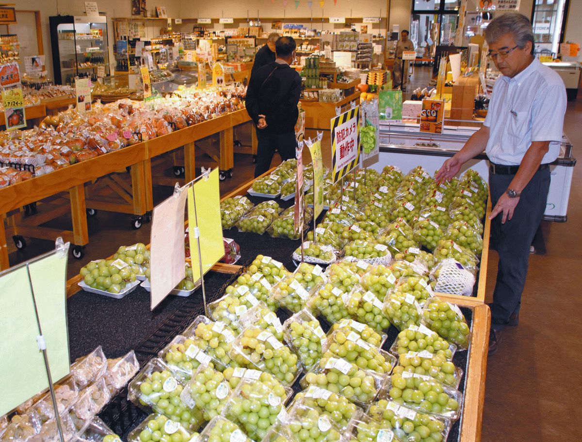 マツタケ不作、ワゴン埋めるマスカット…秋の味覚に異変あり カキも