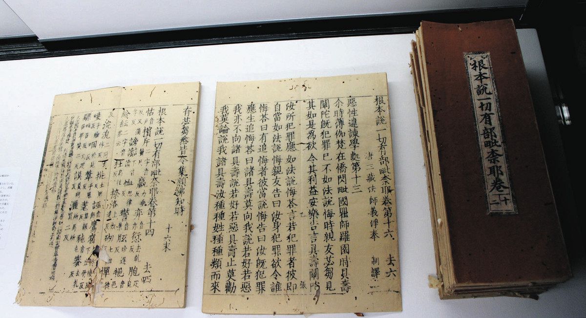 観音堂内陣を特別公開 大津・三井寺で重文指定記念：中日新聞Web