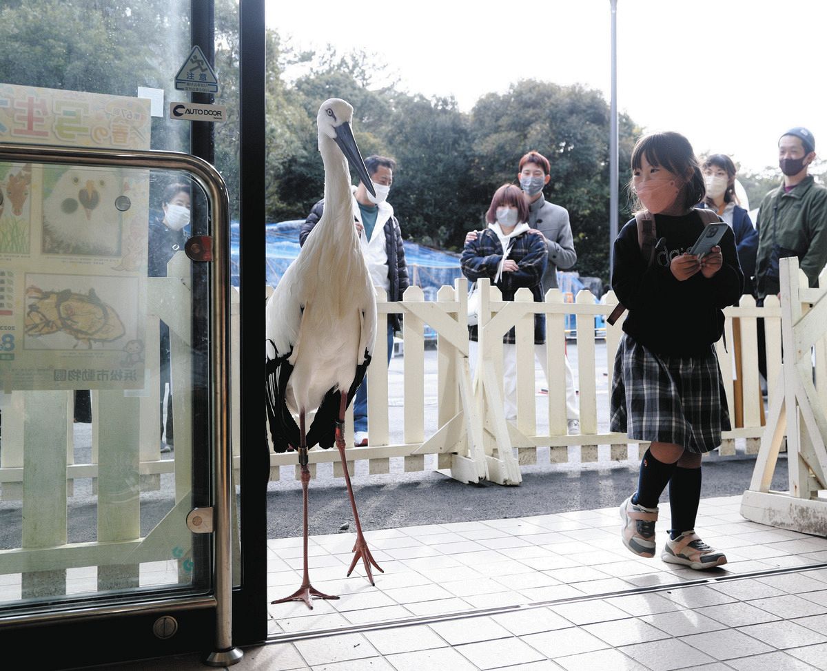 天然木の置物　鳥（コウノトリ？）と松 天然木の置物 鳥（コウノトリ？）と松 天然木の置物 鳥