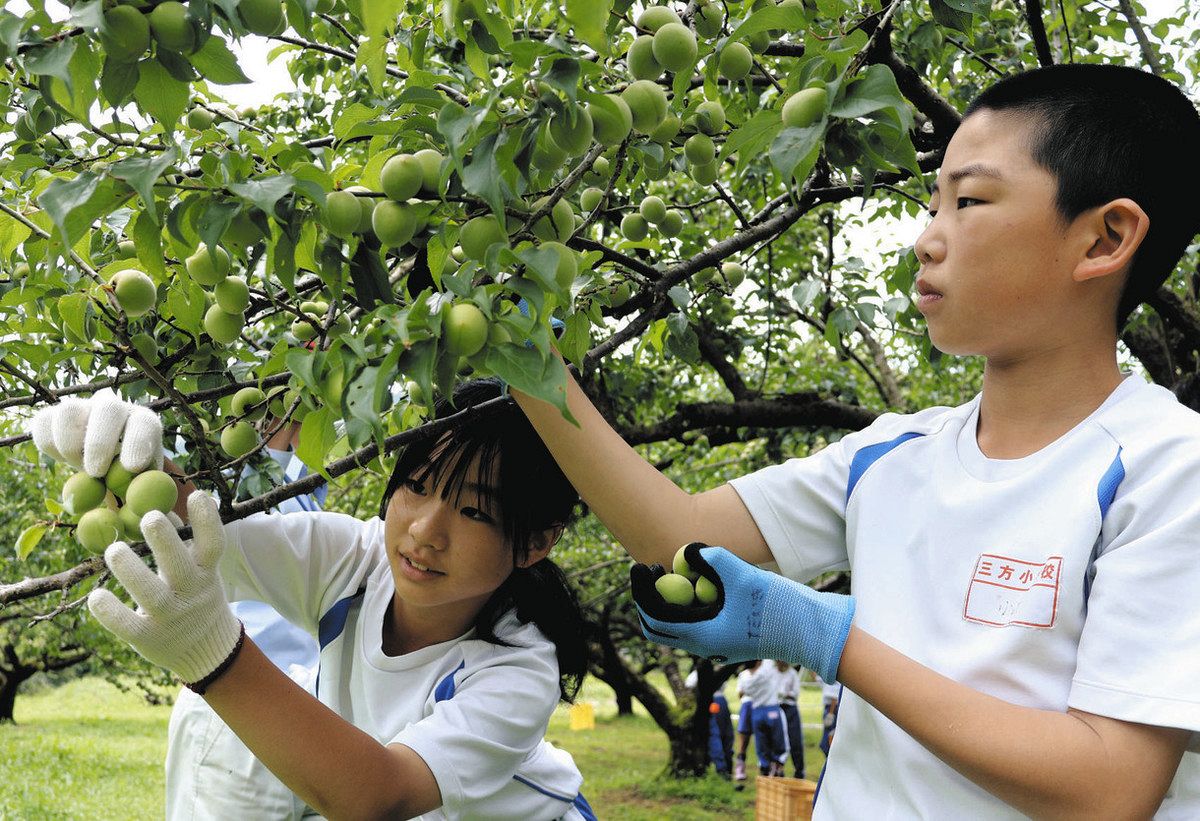 収穫」「植栽」初夏を楽しむ：中日新聞Web