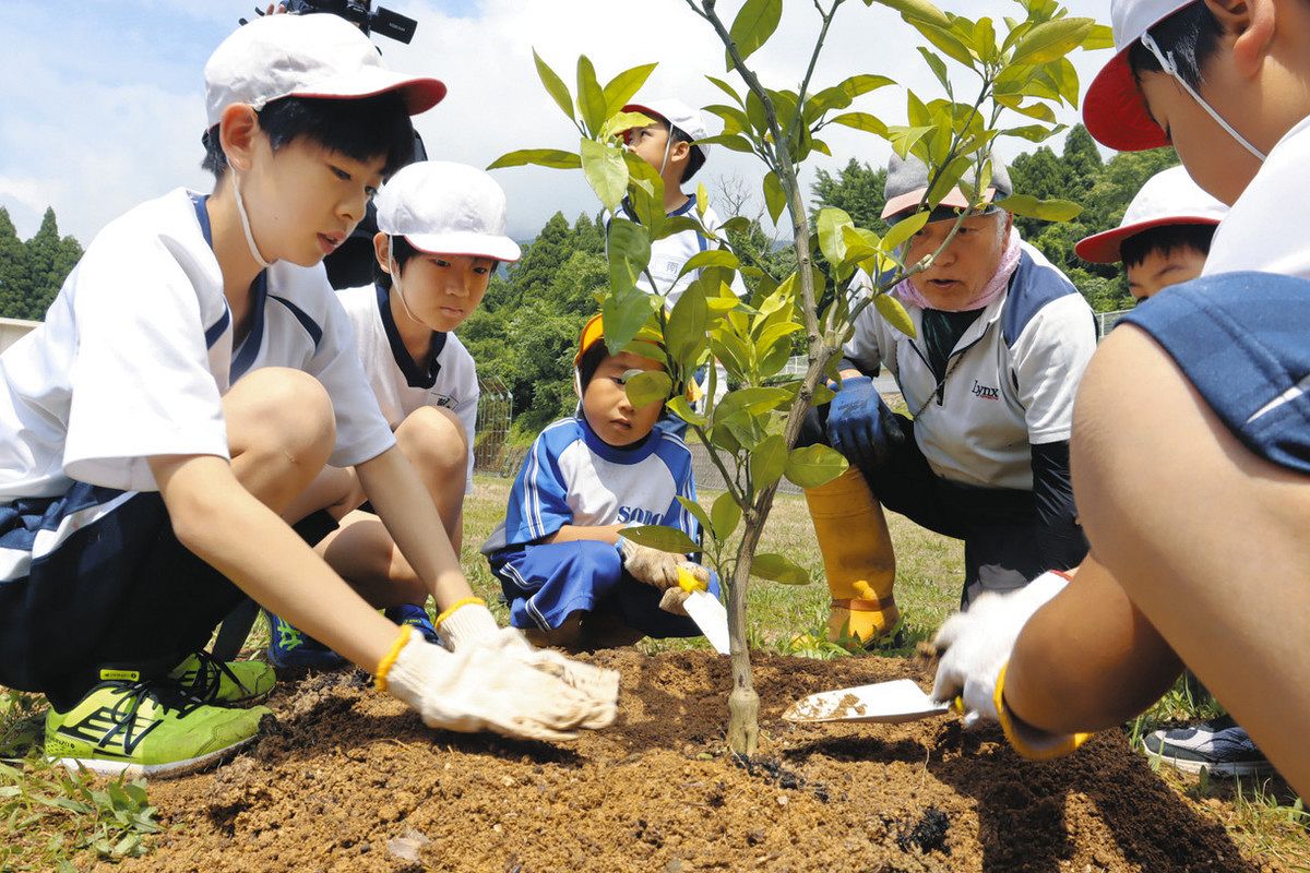 収穫」「植栽」初夏を楽しむ：中日新聞Web