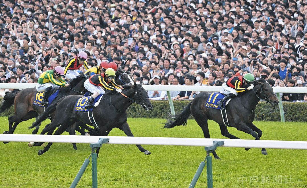本城雅人コラム】異次元の差し脚！上がり3F34秒1でミュージアムマイル