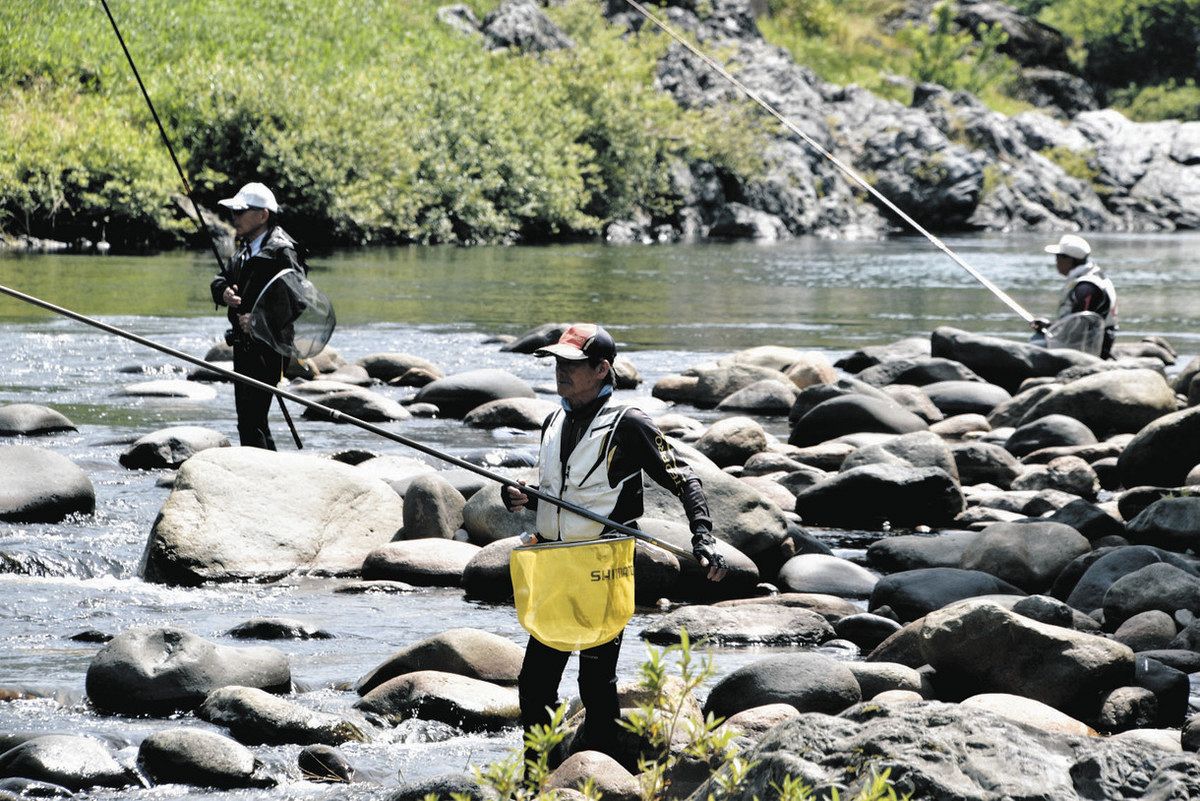 アユ釣りシーズン到来 郡上・長良川水系で解禁：中日新聞Web