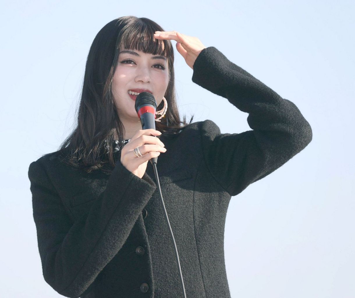 池田さん専用 かんかんさん専用 ヤッシャンさん専用 ナンチャンさん専用 ZX｜製品