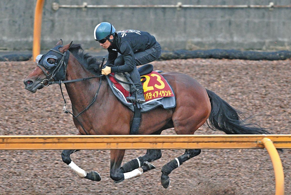 牝馬三冠を目指すリバティアイランドは3枠6番、ハーパーは1枠2番【秋華