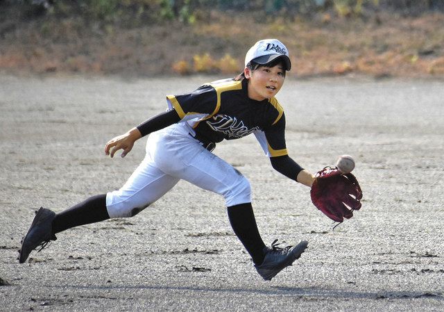 女子部員 負けない 思いベンチから 全国高校野球 長野大会３日開幕 中日新聞web