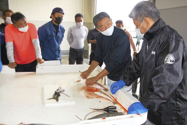 若狭ぐじ付加価値化へ講習会 神経締めや血抜きを実演 敦賀 中日新聞web