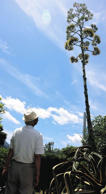 数十年