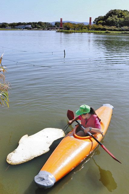 北潟湖きれいにするぞ あわらの児童 カヌーでごみ拾い 日刊県民福井web 北潟湖きれいにするぞ あわらの児童 カヌーでごみ拾い 日刊県民福井web