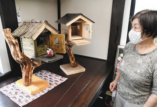 ヤマガラの巣 目の前に 穴水のカフェに巣箱展示 北陸中日新聞web