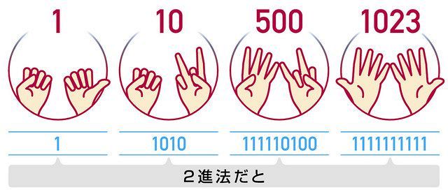 ウケる数学 １０本の指で１０００を数える ２進法 中日新聞web