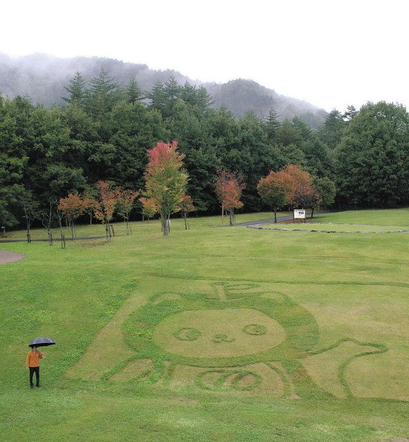 アルクマ の地上絵登場 あづみの公園大町 松川に芝生アートで描く 中日新聞web