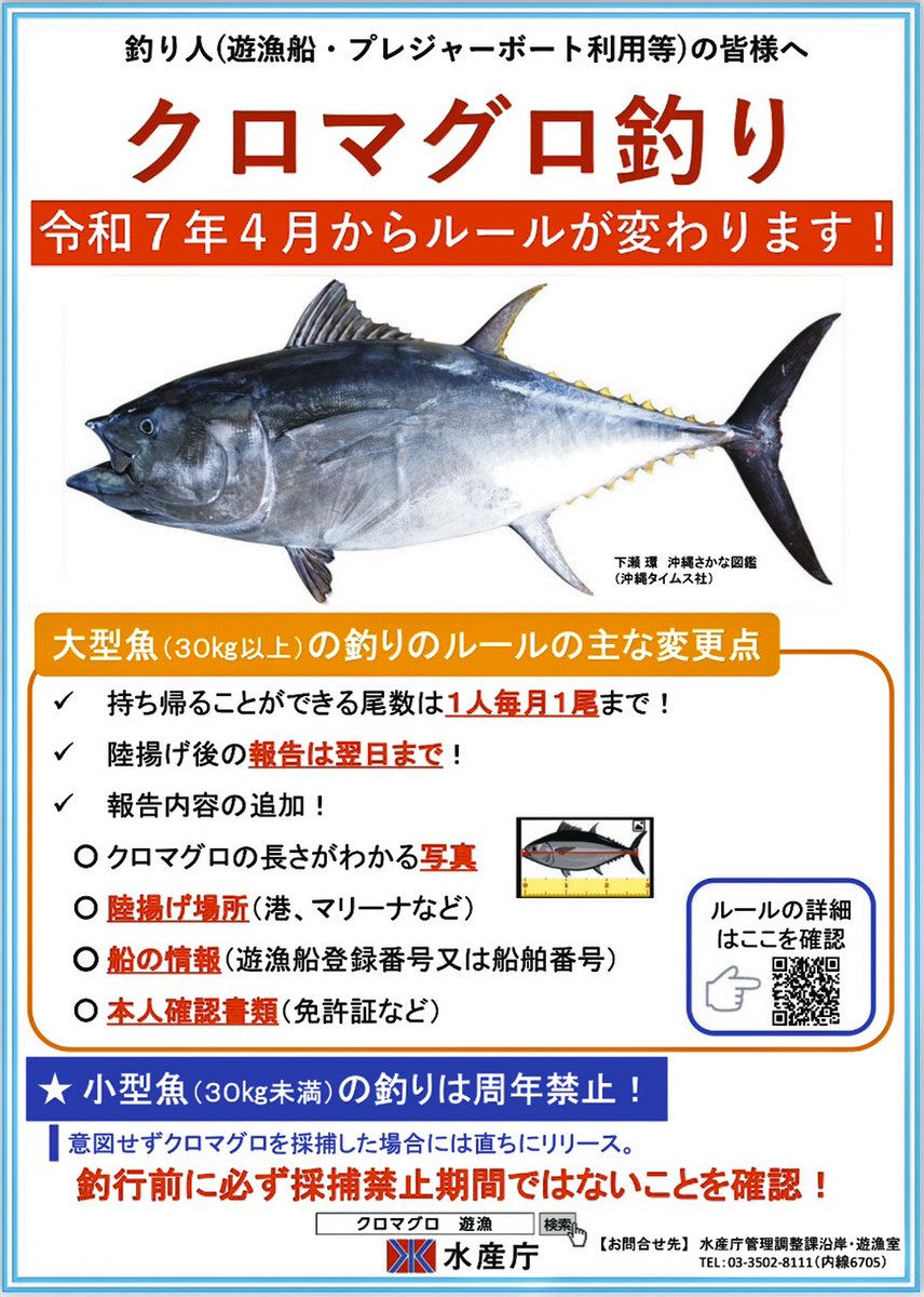 クロマグロ釣り 知らずに？違反 採捕量上限到達後 富山湾で 4月に厳格