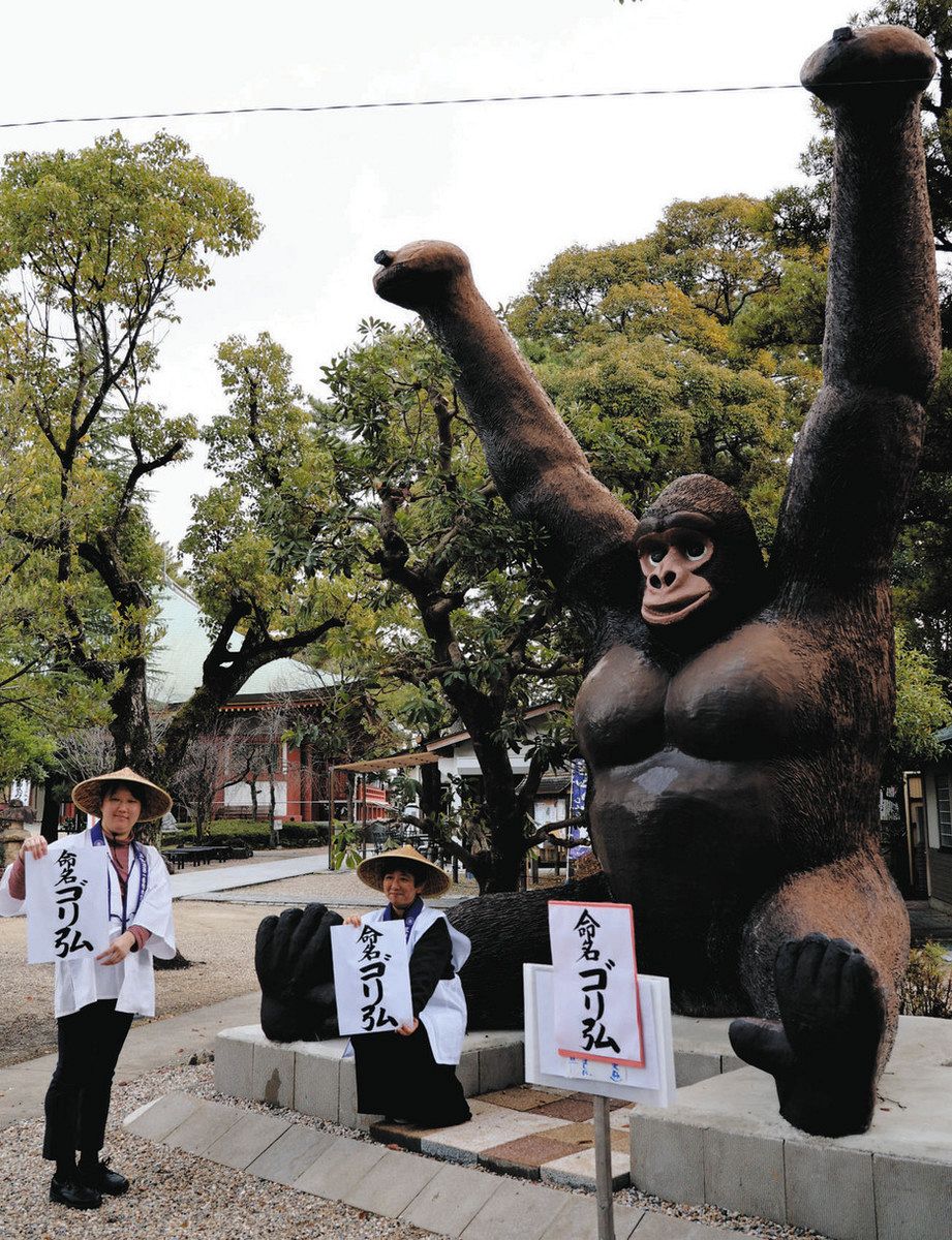 チコムのゴリラがいなくなった？引っ越し先は… 新天地での愛称は「ゴリ